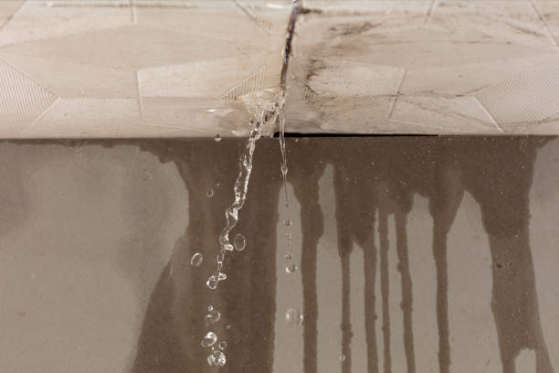 Professional Water Damage Repair technician working in Saratoga Springs, UT